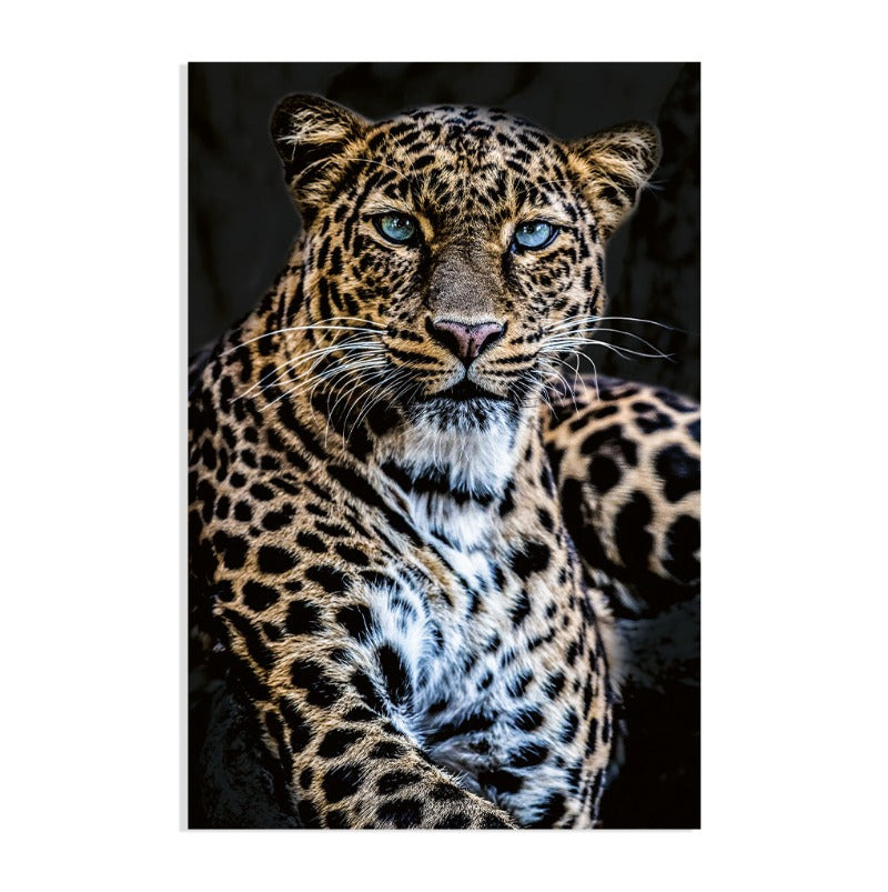 Poster Panter