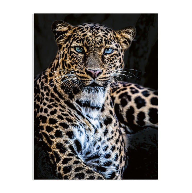 Poster Panter