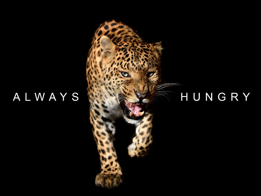 Poster mindset Always Hungry op plexiglas, canvas, dibond of poster.