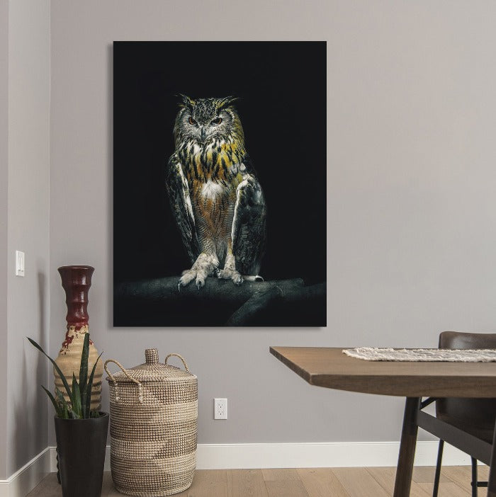 Dark Owl