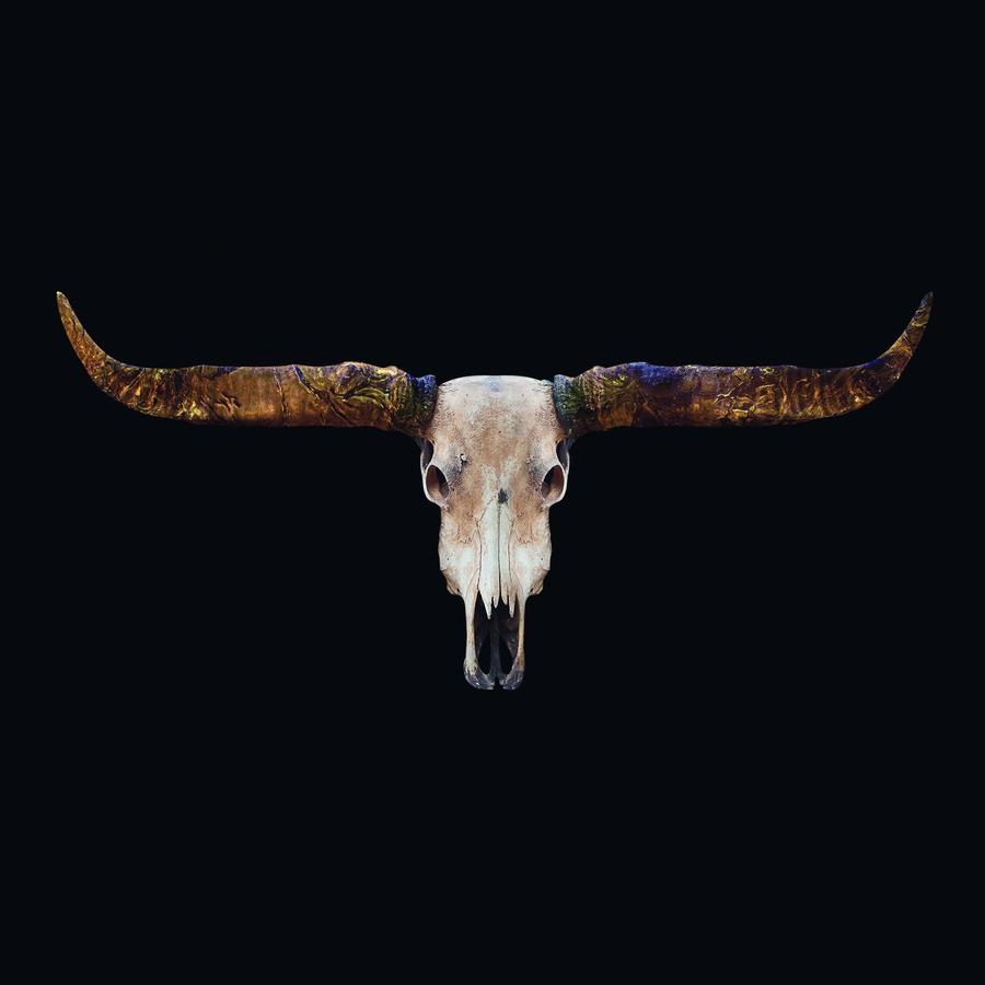 Schilderij-Buffels Skull-PosterGuru