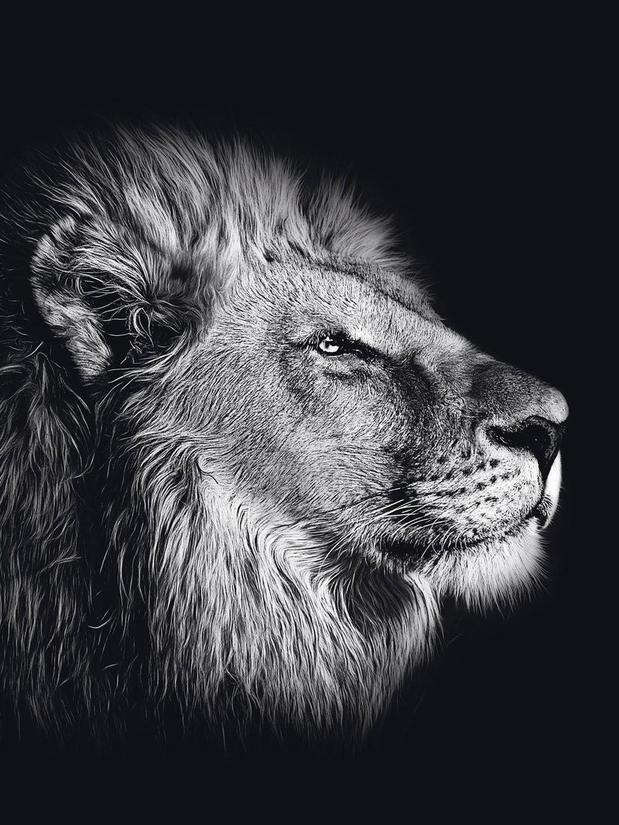 Schilderij-Dark Lion No1-PosterGuru