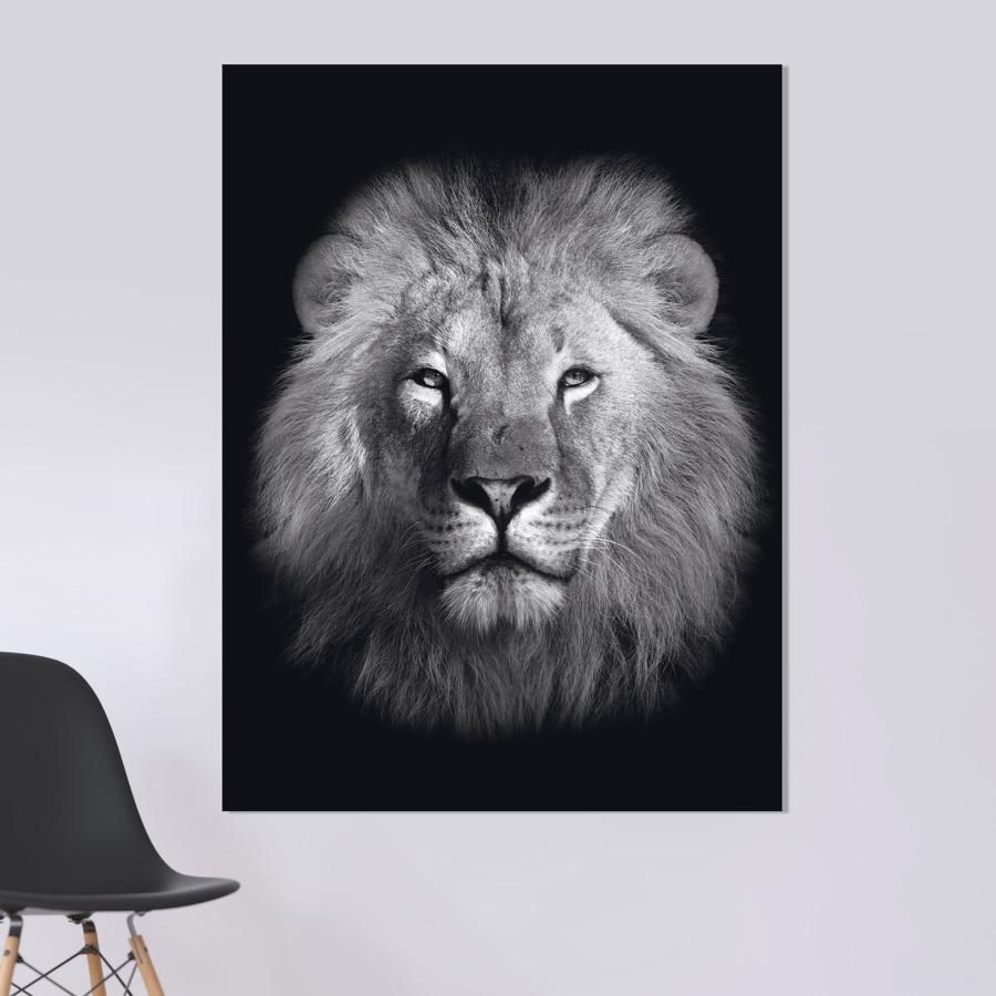 Schilderij-Dark Lion No3-PosterGuru