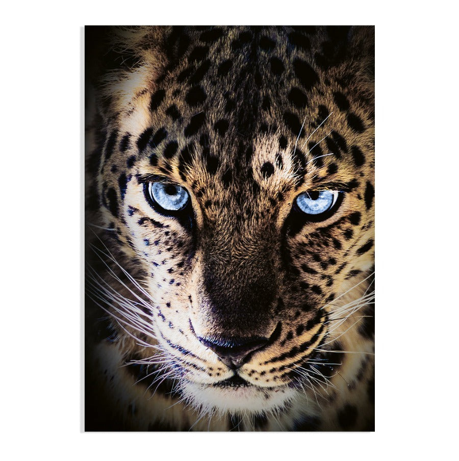 Poster Panter