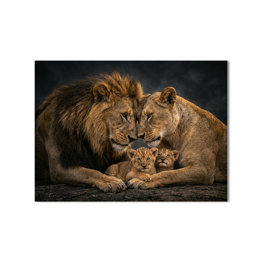 Leeuw schilderij van een liefdevolle leeuwenfamilie met welp. Verkrijgbaar als 1, 2, 3 of 4-delige canvas wanddecoratie voor een warme en krachtige uitstraling in huis.