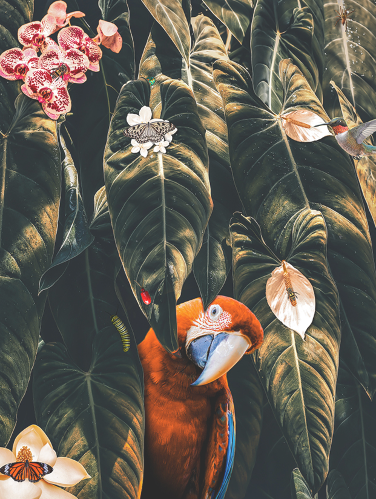 Parrot