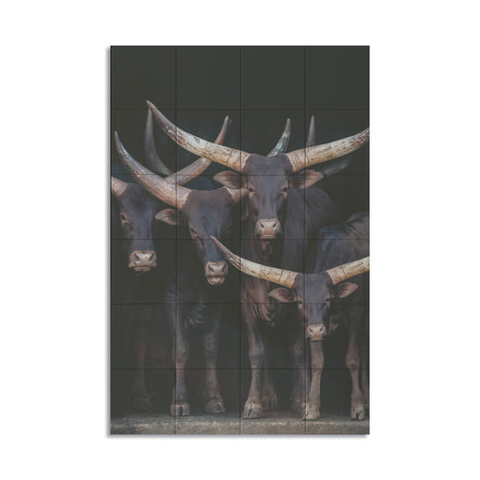 Tegeltableau - Watusi