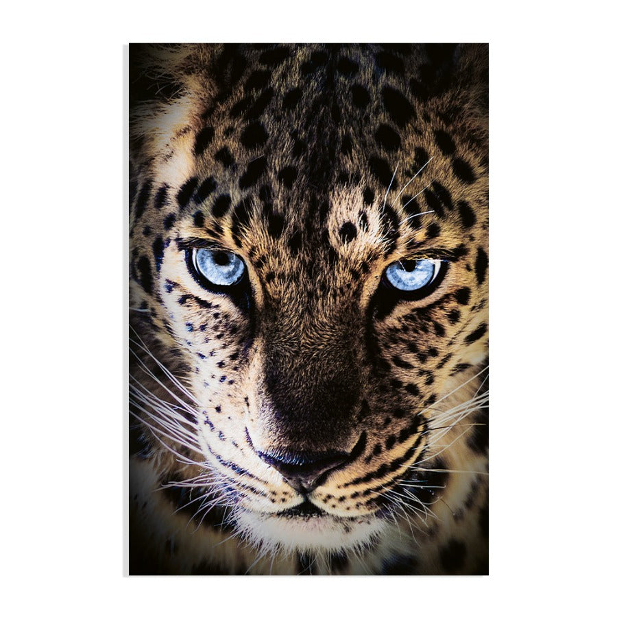 Poster Panter