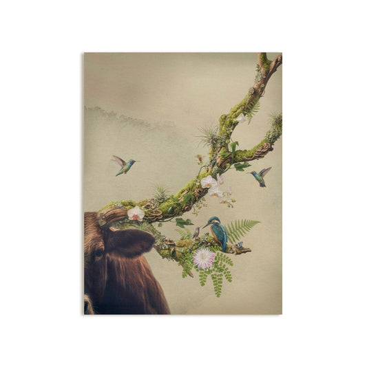 Birds 3