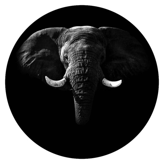 Wandcirkel Olifant – olifant in rond formaat