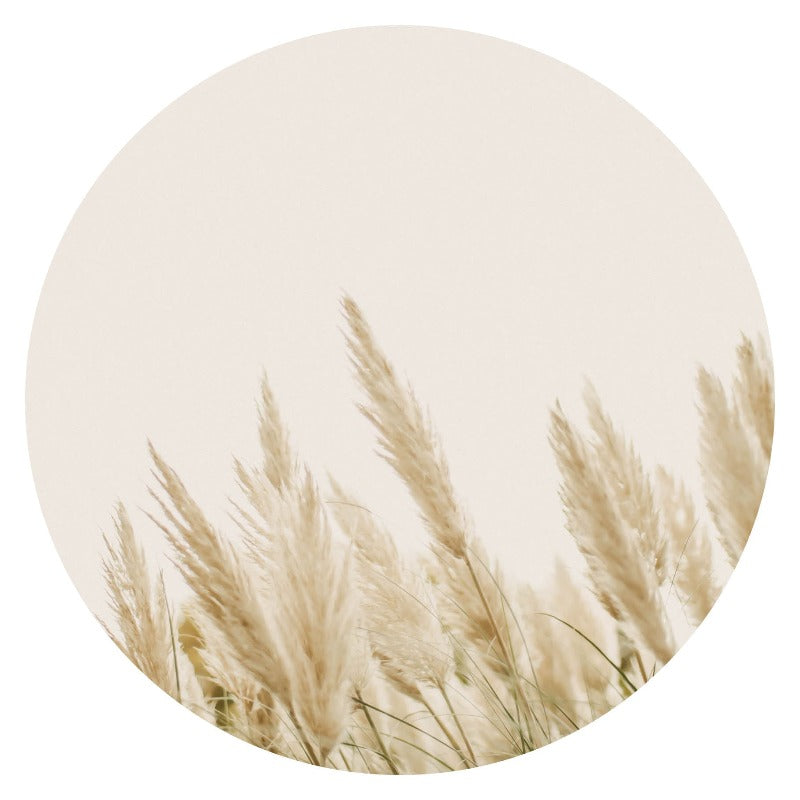 Wandcirkel Pluimen No1 – pluimen in beige tinten