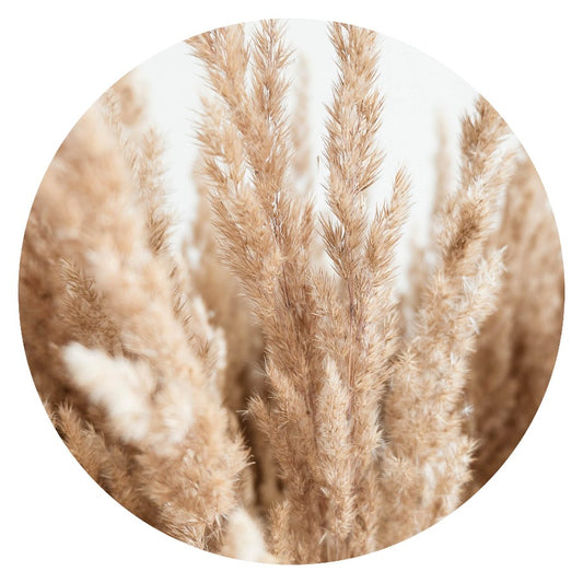 Wandcirkel Pluimen No5 – pluimen in beige tinten