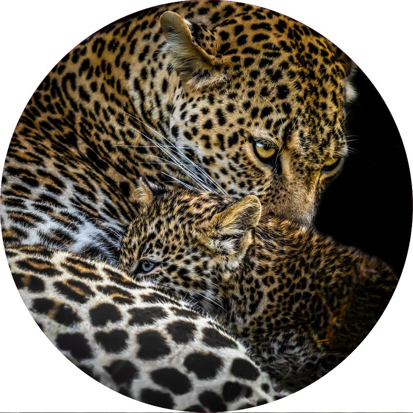 Wandcirkel Panter