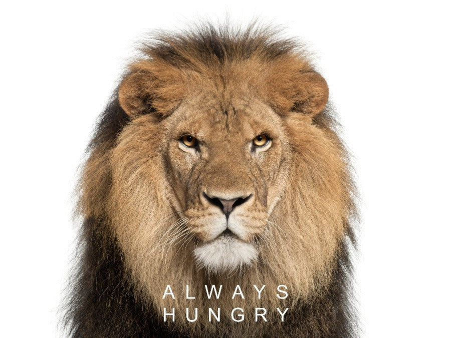Poster mindset Always Hungry op plexiglas, canvas, dibond of poster.
