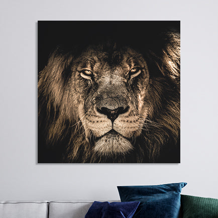 Schilderij African Lion