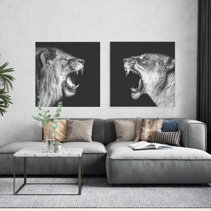 Schilderij Tweeluik - Lion VS Lioness