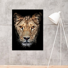 Load image into Gallery viewer, Schilderij Lioness Portret

