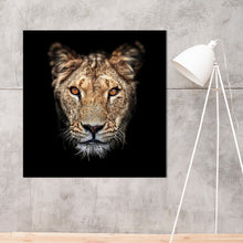 Load image into Gallery viewer, Schilderij Lioness Portret
