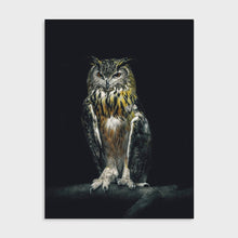 Afbeelding in Gallery-weergave laden, Schilderij Uil

