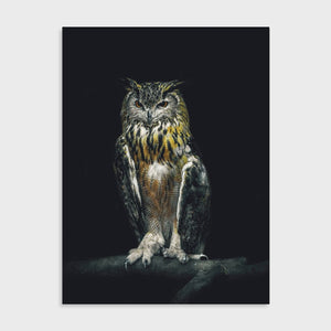 Schilderij Uil