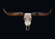 Afbeelding in Gallery-weergave laden, Schilderij-Buffels Skull-PosterGuru
