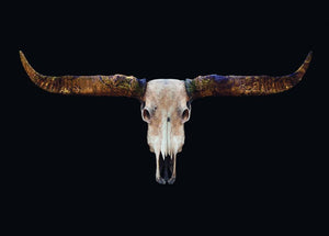 Schilderij-Buffels Skull-PosterGuru