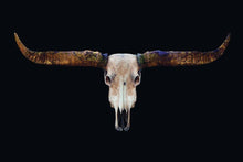 Afbeelding in Gallery-weergave laden, Schilderij-Buffels Skull-PosterGuru

