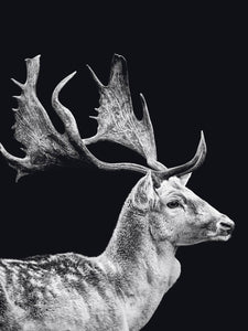 Schilderij-Dark Deer-PosterGuru