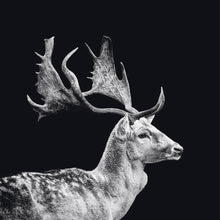 Load image into Gallery viewer, Schilderij-Dark Deer-PosterGuru
