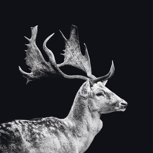 Schilderij-Dark Deer-PosterGuru