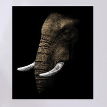 Afbeelding in Gallery-weergave laden, Schilderij-Dark Elephant-PosterGuru

