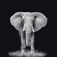 Afbeelding in Gallery-weergave laden, Schilderij-Dark Elephant No2-PosterGuru
