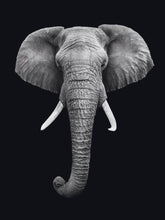 Load image into Gallery viewer, Schilderij-Dark Elephant No3-PosterGuru
