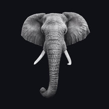 Afbeelding in Gallery-weergave laden, Schilderij-Dark Elephant No3-PosterGuru
