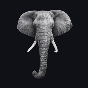 Schilderij-Dark Elephant No3-PosterGuru