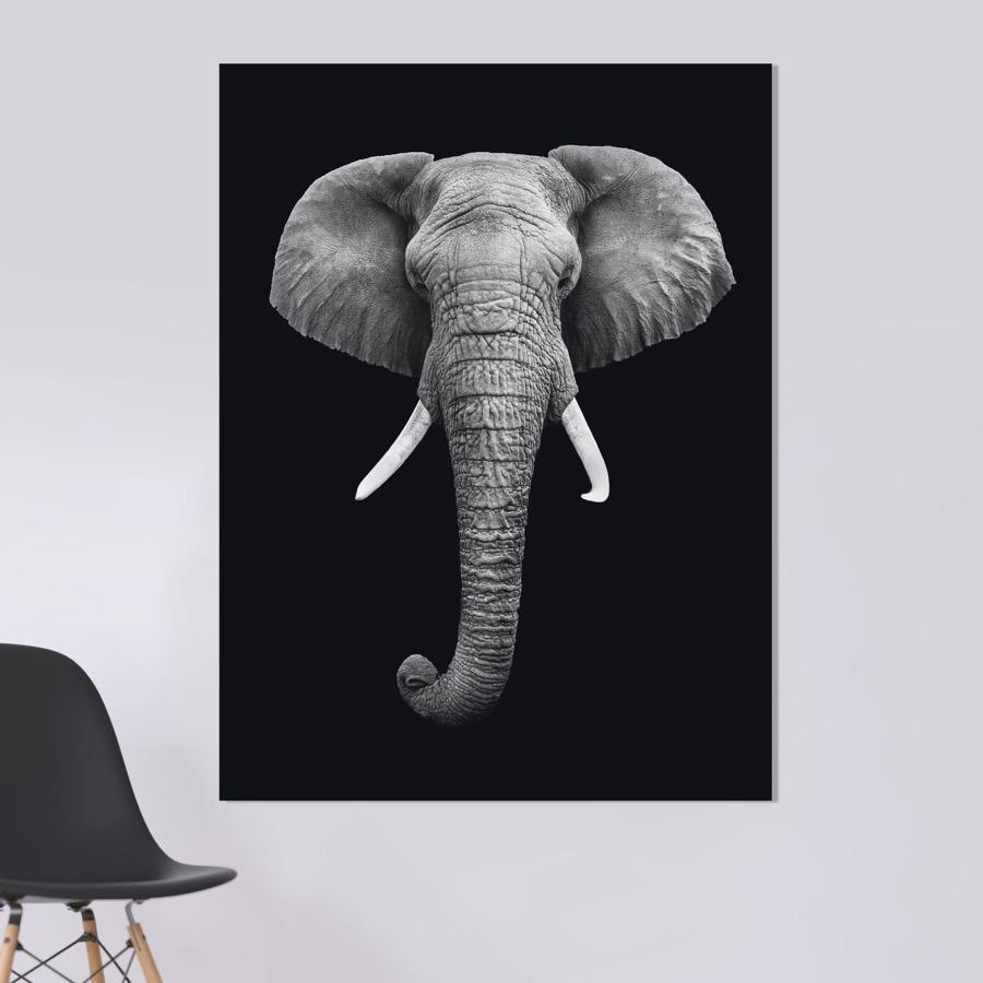 Schilderij-Dark Elephant No3-PosterGuru