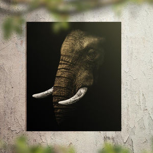 Schilderij-Dark Elephant-PosterGuru