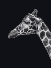 Load image into Gallery viewer, Schilderij-Dark Giraffe No2-PosterGuru
