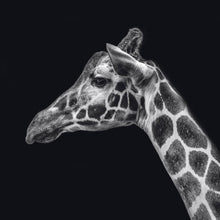 Afbeelding in Gallery-weergave laden, Schilderij-Dark Giraffe No2-PosterGuru
