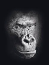Afbeelding in Gallery-weergave laden, Schilderij-Dark Gorilla No2-PosterGuru
