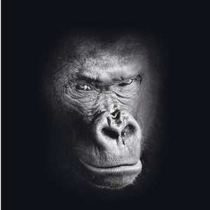 Schilderij-Dark Gorilla No2-PosterGuru
