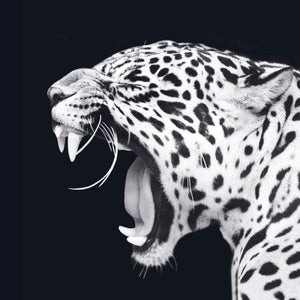 Schilderij-Dark Leopard No1 left-PosterGuru