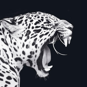 Schilderij-Dark Leopard No2 Right-PosterGuru