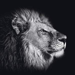 Schilderij-Dark Lion No1-PosterGuru