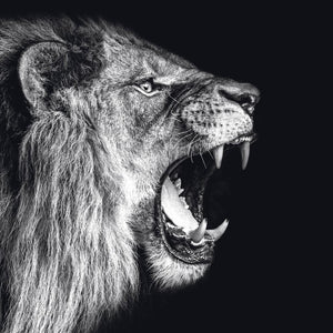 Schilderij-Dark Lion No10-PosterGuru