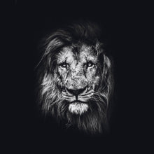 Load image into Gallery viewer, Schilderij-Dark Lion No2-PosterGuru
