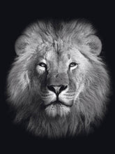 Afbeelding in Gallery-weergave laden, Schilderij-Dark Lion No3-PosterGuru
