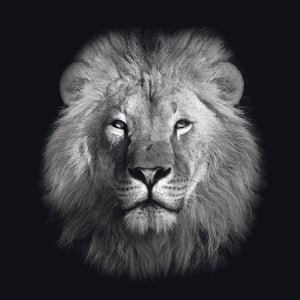 Schilderij-Dark Lion No3-PosterGuru