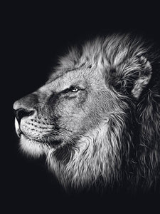Schilderij-Dark Lion No4-PosterGuru