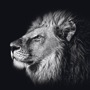 Schilderij-Dark Lion No4-PosterGuru